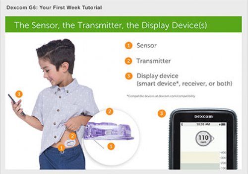 CGM Education & Use